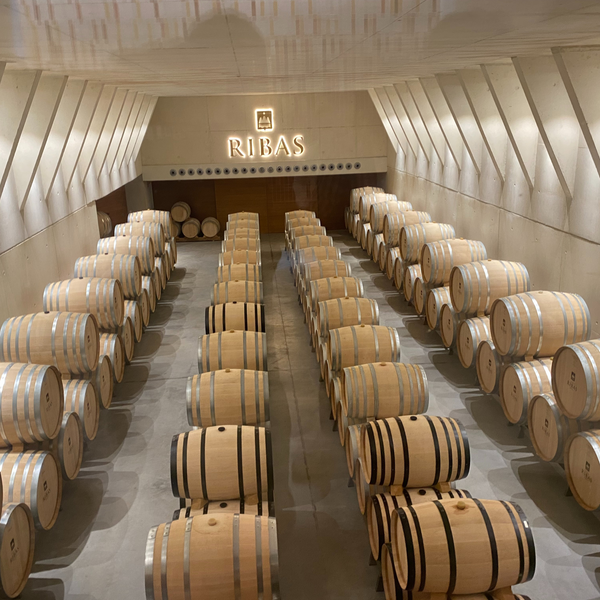 Ribas Blanc