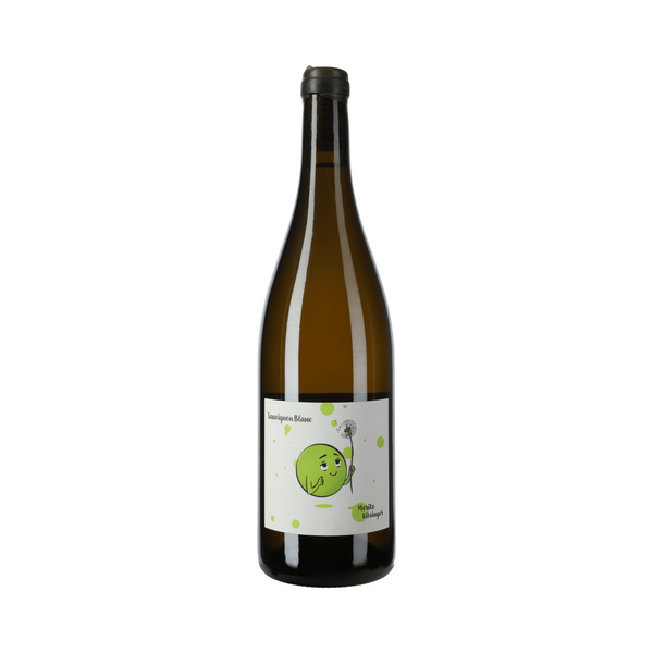 Sauvignon Blanc 2023
